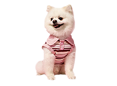 Pet Supplies